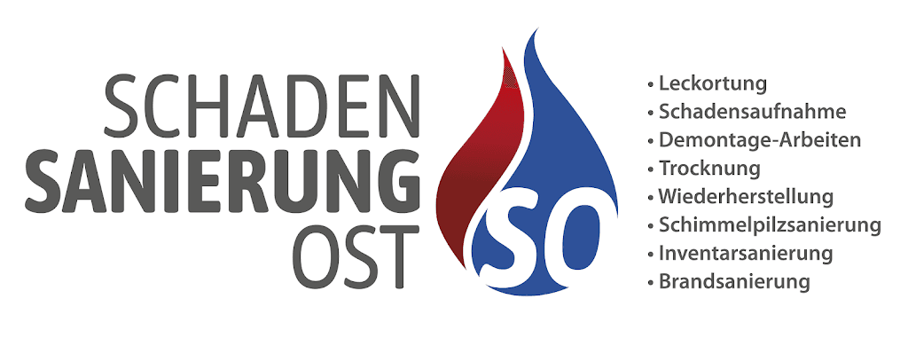 Schadensanierung Ost GmbH & Co. KG