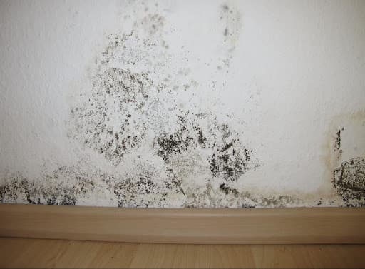 Blitz Renovierung - Sanierungen & Renovierungen — Kundenfoto