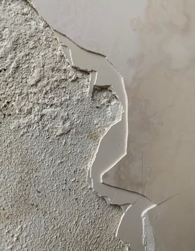 Schadenpiloten - Brandschaden und Wasserschaden Sanierung — Kundenfoto