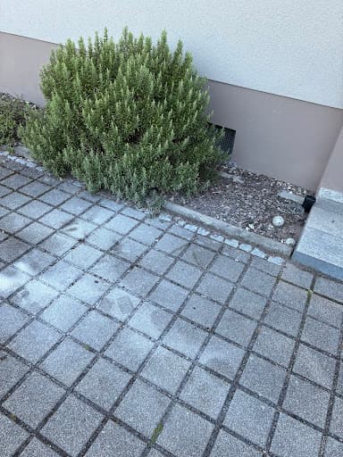 Sprint Sanierung GmbH — Kundenfoto